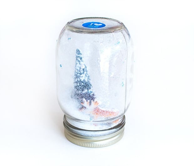 snow globe