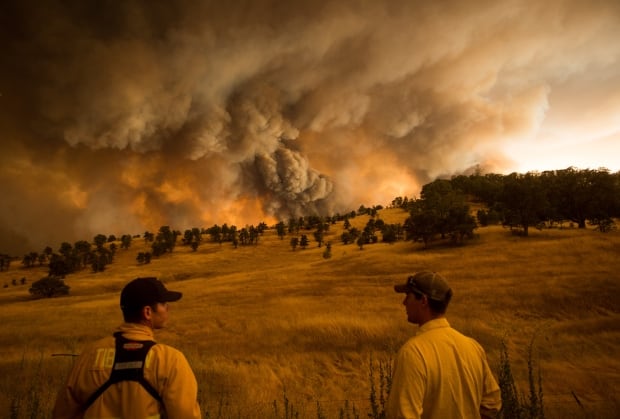 2015 Photos of the year Rocky Fire Clearlake California Aug 1