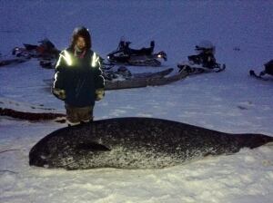 Chantal Koonoo narwhal