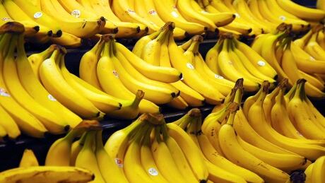 Cavendish bananas are extremely vulnerable to fungal blight. bananas