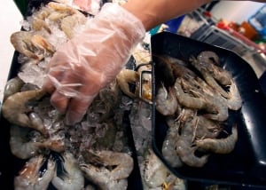 Thailand Asia Shrimp