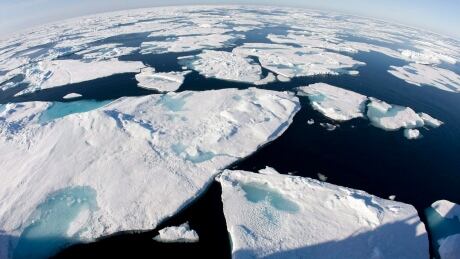MPs debate climate change after UN report warns of dire consequences
