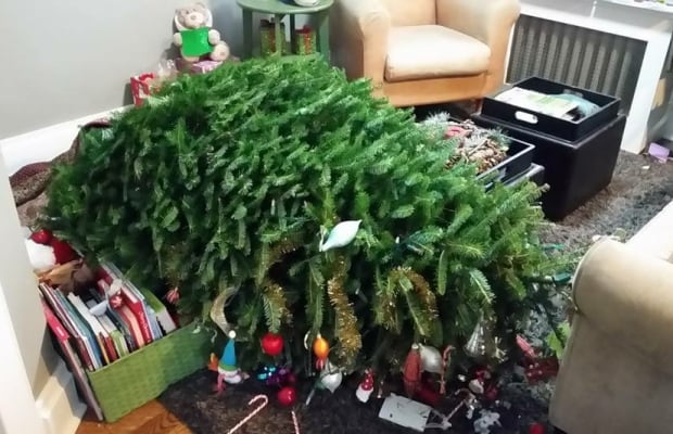 Toppling trees