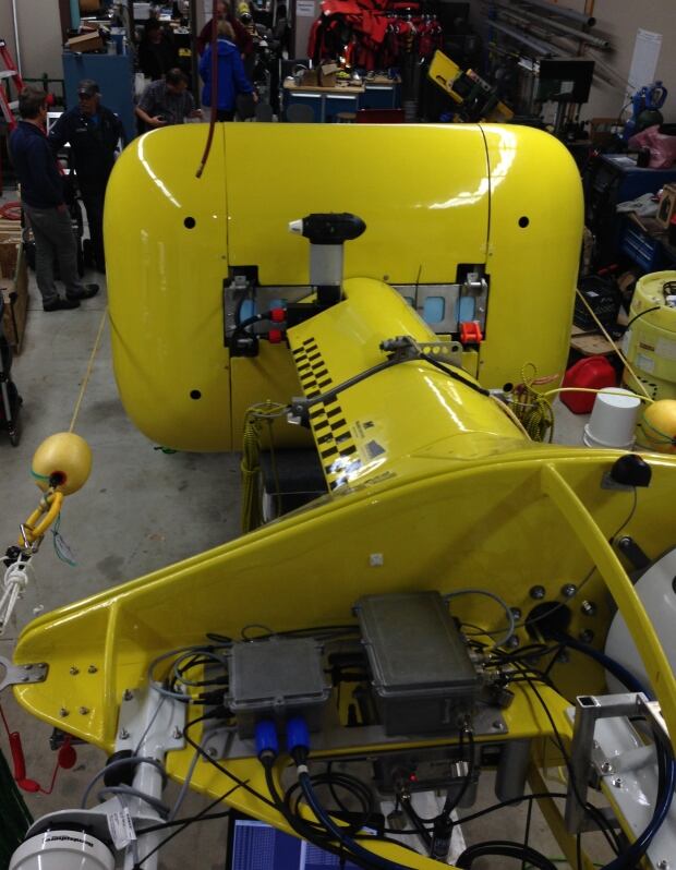 Sea Dragon internal