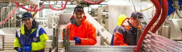 processing area of MV Sivullik
