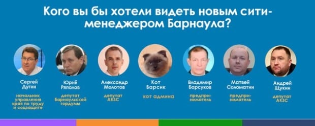 Barsik the cat