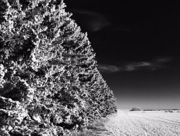 Hoarfrost Last Message... Hoarfrost Last Message...