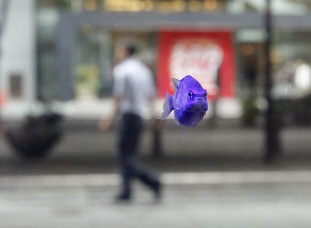 JAPAN-DAILYLIFE/