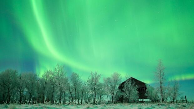 Borealis Kitchener New Years Borealis Kitchener New Years