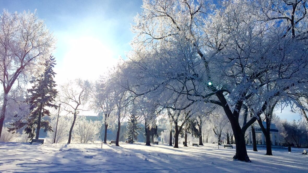 Hamilton Gas Prices >> Saskatoon's weather, traffic and gas prices for Boxing Day ... Hamilton Gas Prices >> Saskatoon's weather, traffic and gas prices for Boxing Day ...