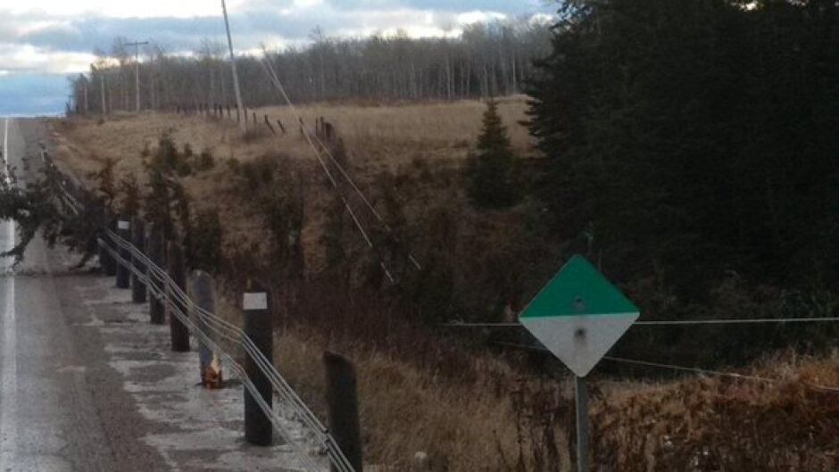 Pockets Of Eastern Ontario Go Without Power On Christmas Day Cbc News