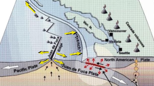 cascadia subduction zone