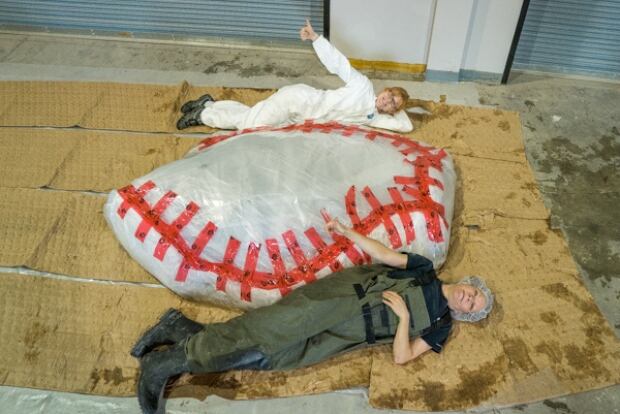 Blue whale heart