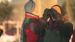Eagle watchers count eagles