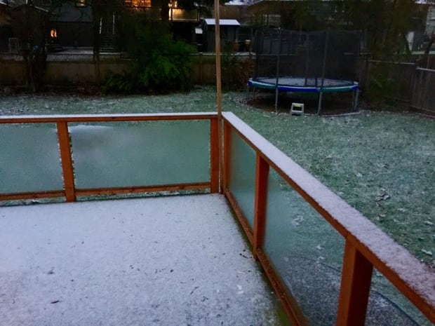 dollarton snow
