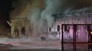 Horses perish in Puslinch barn fire