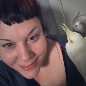 megan lewis too crazy birdy hotel