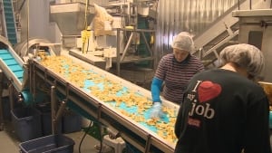 Covered Bridge Potato Chips