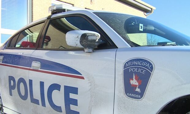 Municipal police car, Gander
