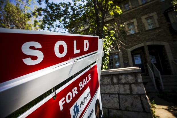 Housing market thriving so far this year