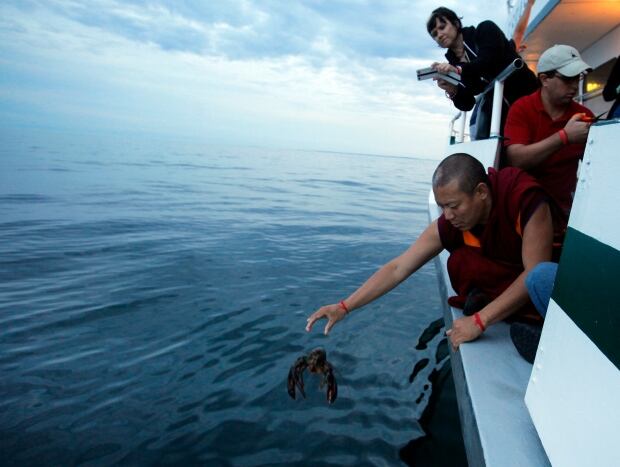 BUDDHISTS/LOBSTERS