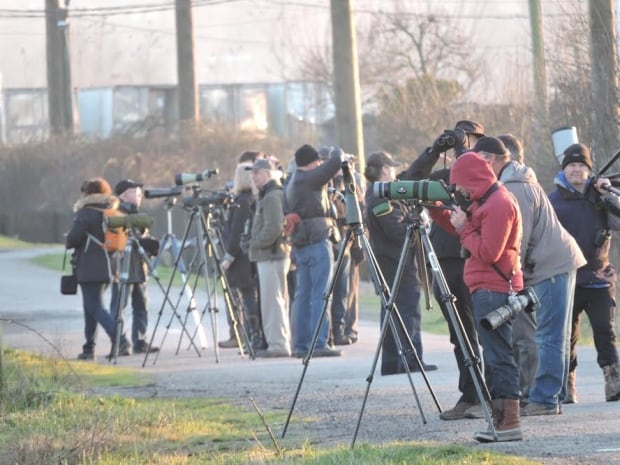 photographers