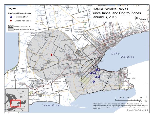 Rabies map Jan. 6