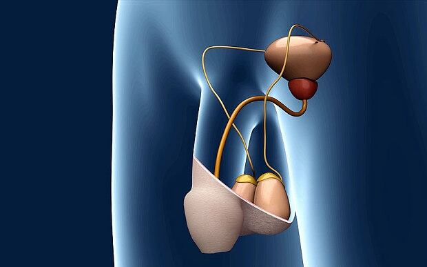 Sperm light switch implant