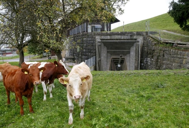 SWISS-BUNKERS/WIDERIMAGE