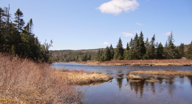 Salmonier River project NCC