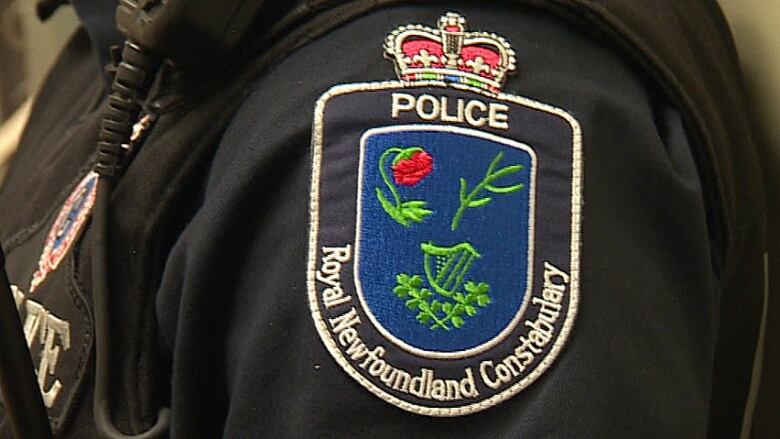 Royal Newfoundland Constabulary facing criminal probe by external ...