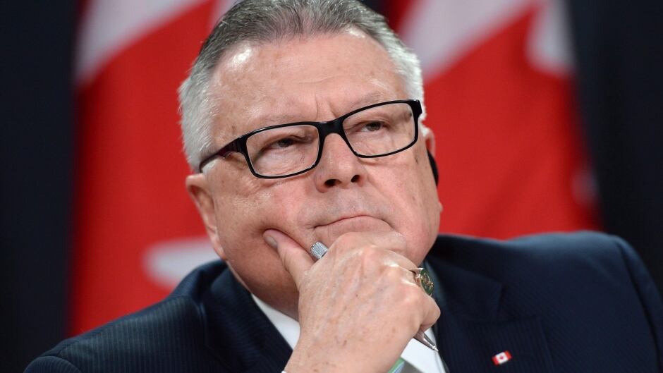 Minister of Public Safety Ralph Goodale says parliamentary oversight of national security may not be enough.