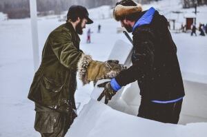 Igloo Building at SNowdance