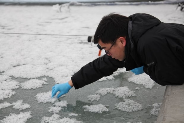 Sea-ice experimental research facility