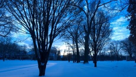 Blue Monday, the third Monday in January, is called the saddest day of the year. Blues