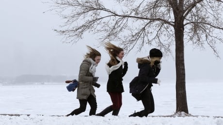 Three young women make their way in a stiff wind to the Adler Planetarium as lake effect snow obscure a favorite panoramic view of Chicago's skyline, Thursday, Feb. 26, 2015, in Chicago. Winter wind windy generic February 2015