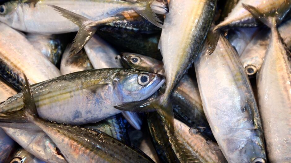 Fishes are seen at a wet market in Shah Alam outside Kuala Lumpur.
