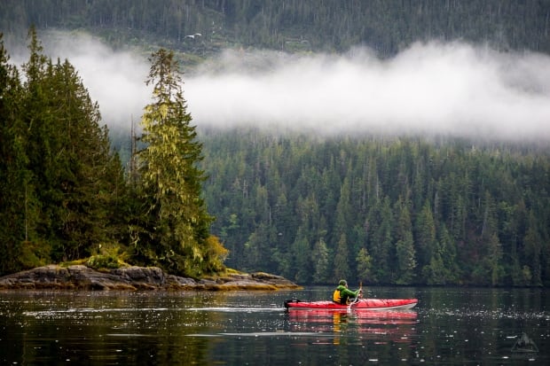 Kayaking in Great Bear Rainforest BC by Callum Snape