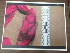 goforth trial photo evidence pink ribbon jan 19 2016
