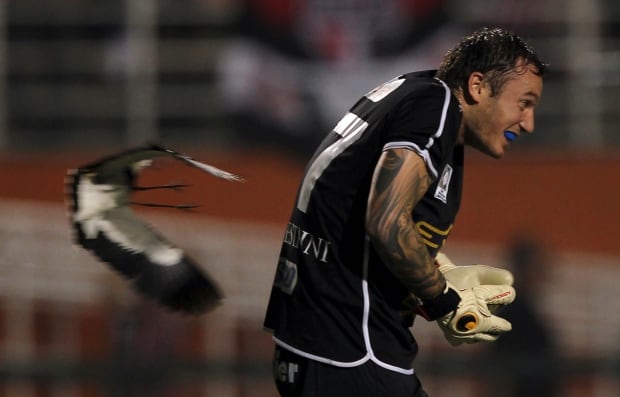 Bird buzzes goalkeeper