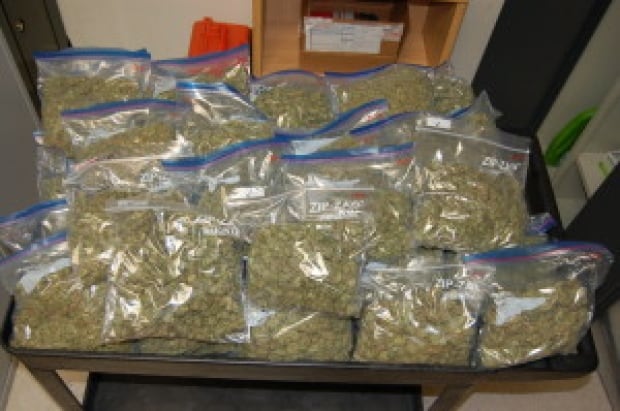 Wegadest Gorup-Paul drug bust