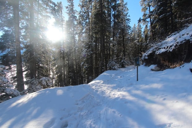Kananaskis Country snow