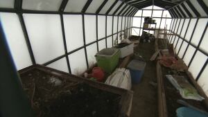 Tulita greenhouse