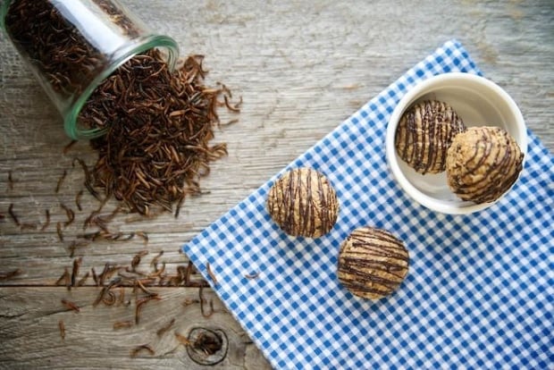 Mealworms