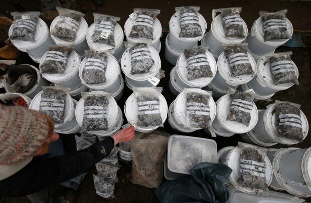 Bronze Age discovery sample bags