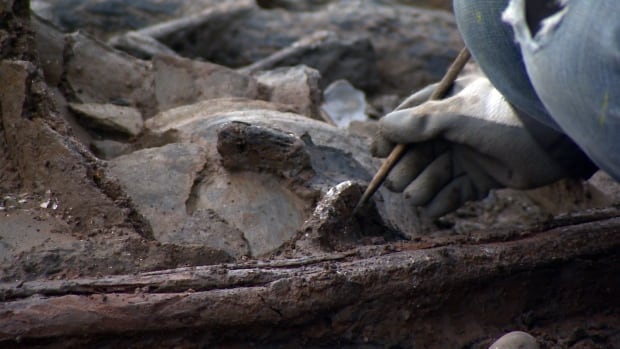 Bronze age pot cleared