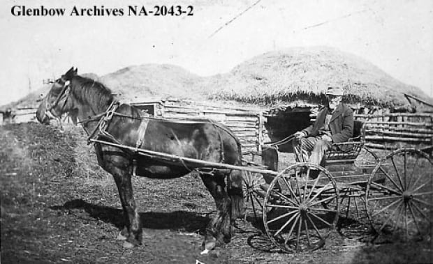 Fred Jarvis and his buggy. c. 1900