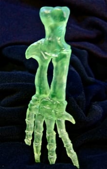 flipper whale bones in green crystal