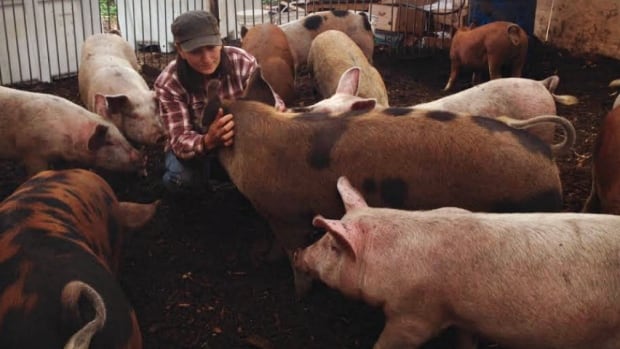 Julia Smith and Pigs