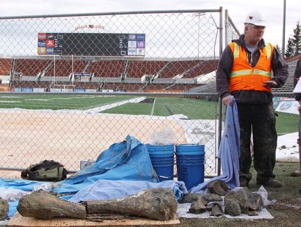 OSU Mammoth Bones